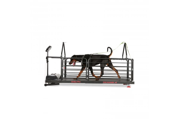 Dog Runner Διάδρομος Τρεξίματος