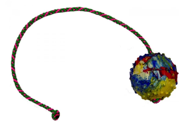 GAPPAY Μπαλάκι μασίφ καουτσούκ διαμέτρου 6cm με σκοινί 50cm