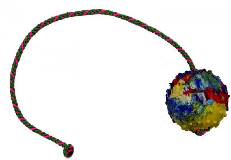 Μπαλάκι μασίφ καουτσούκ διαμέτρου 6cm με σκοινί 50cm για σκύλους