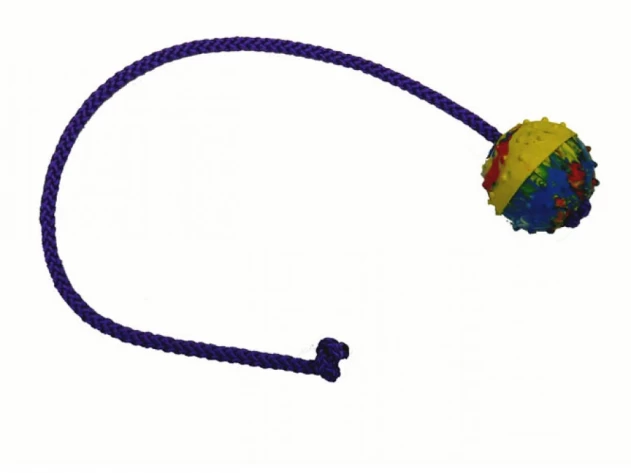  GAPPAY Μπαλάκι μασίφ καουτσούκ διαμέτρου 5cm με σκοινί 50cm