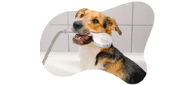 Φροντίδα και Υγιεινή 