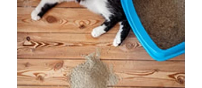 Άμμος Υγιεινής 