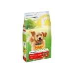 Friskies Active Βοδινό 4Kg

