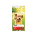 Friskies Active Βοδινό 9Kg